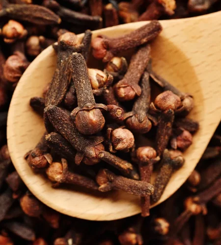cloves